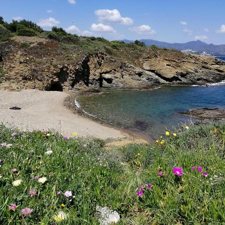 Villa Casa Platja D'En Robert El Port De La Selva Esterno foto